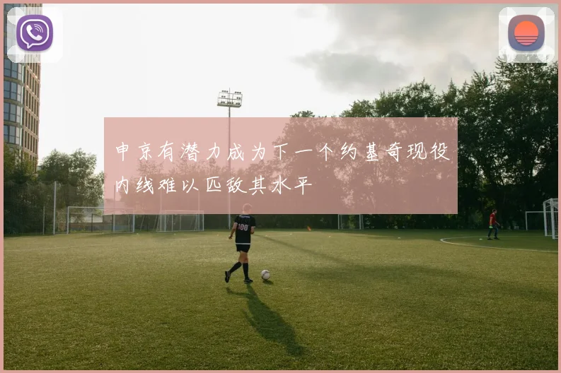 申京有潜力成为下一个约基奇现役内线难以匹敌其水平