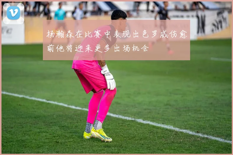 杨瀚森在比赛中表现出色罗威伤愈前他将迎来更多出场机会