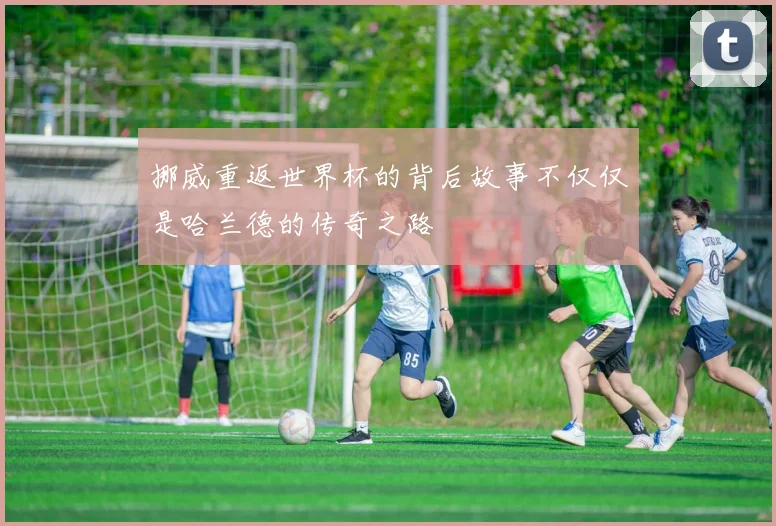 挪威重返世界杯的背后故事不仅仅是哈兰德的传奇之路