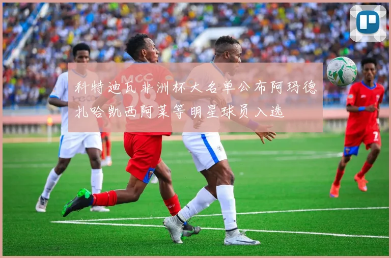 科特迪瓦非洲杯大名单公布阿玛德扎哈凯西阿莱等明星球员入选