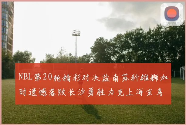 NBL第20轮精彩对决盐南苏科雄狮加时遗憾落败长沙勇胜力克上海玄鸟
