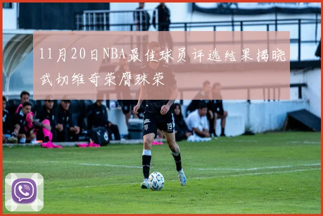 11月20日NBA最佳球员评选结果揭晓武切维奇荣膺殊荣